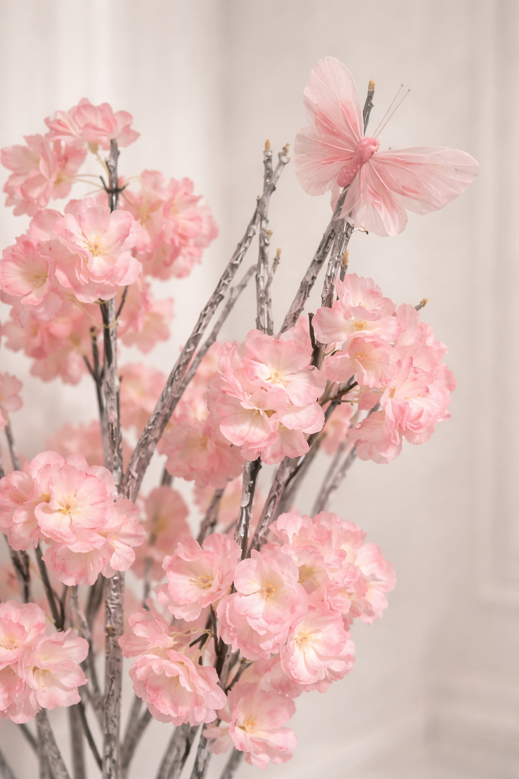 Sakura floraison Sérénité 70cm de haut