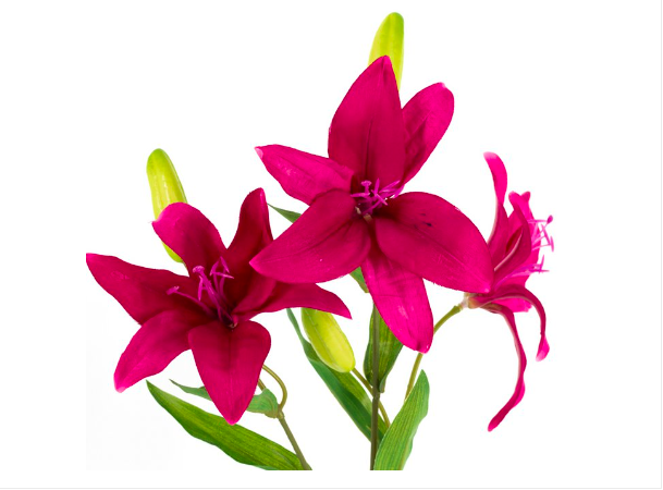 Kunstbloem lelie fuchsia 75cm