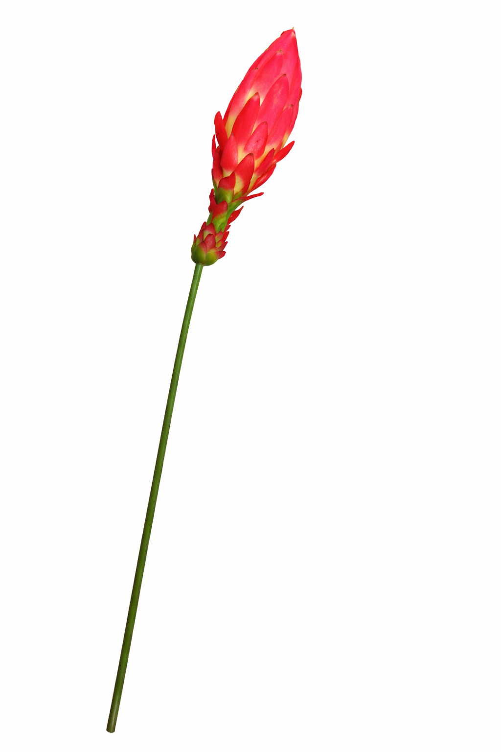 Kunstbloem 82cm