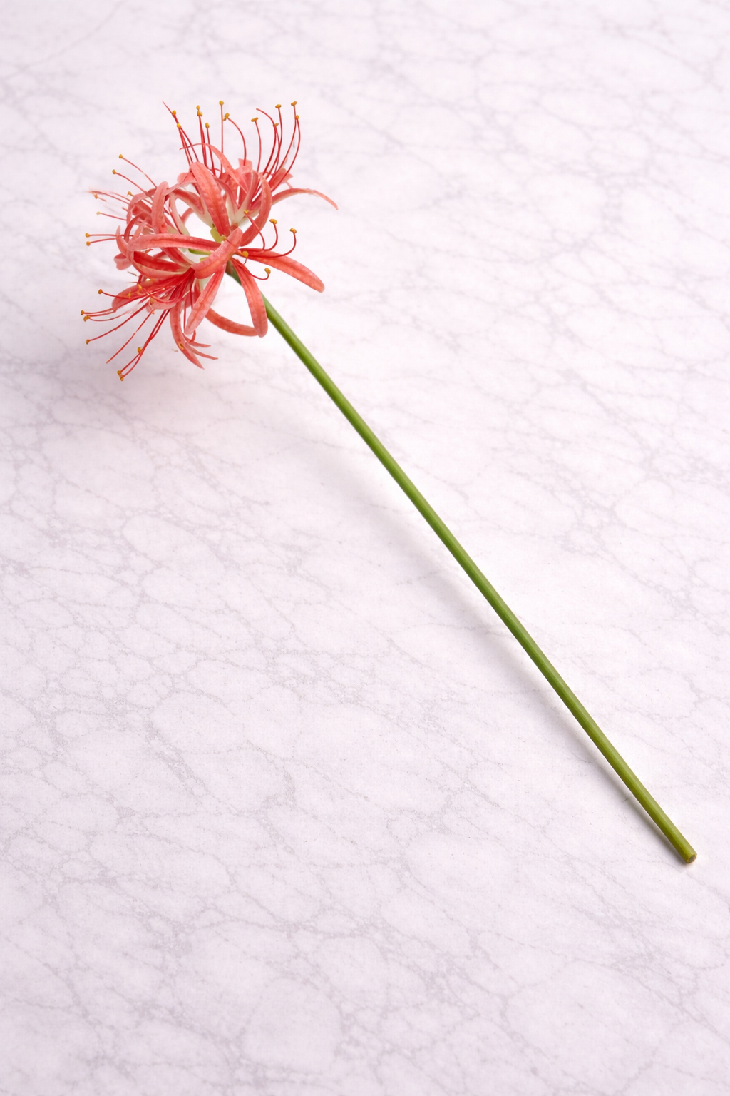 Kunstbloem real touch amaryllis koraal